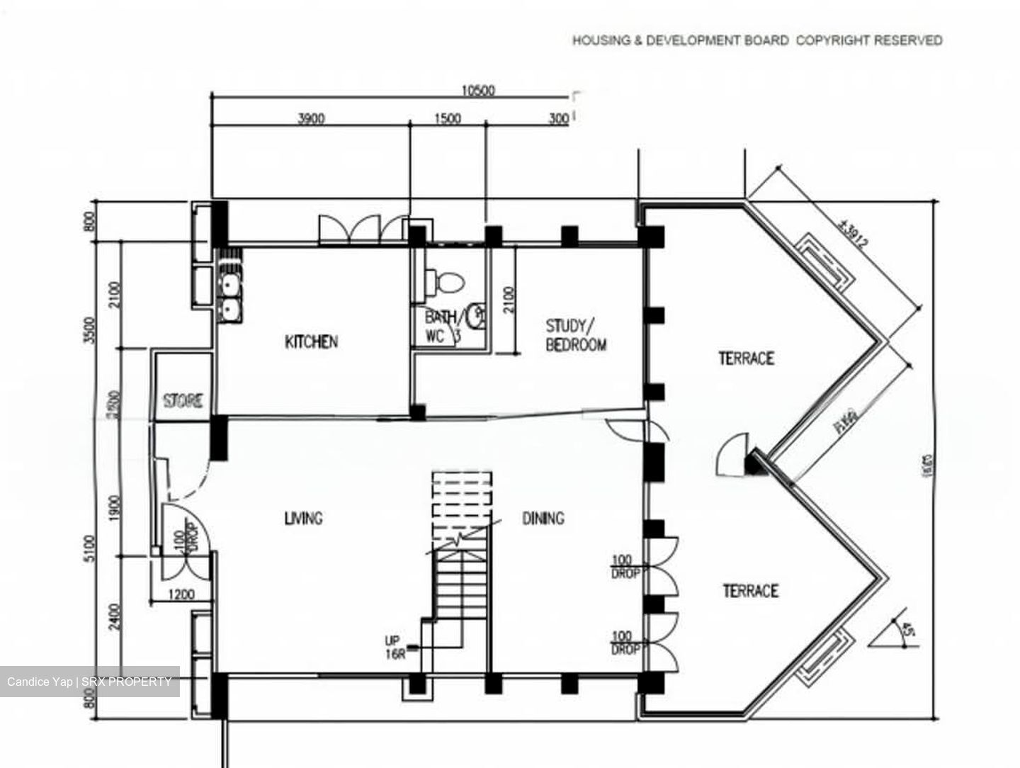 Blk 256 Pasir Ris Street 21 (Pasir Ris), HDB Executive #547563341